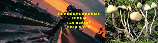 гидра Бородино