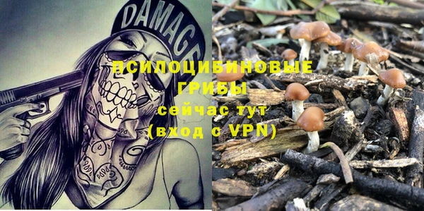 трава Богданович