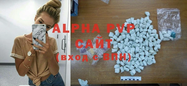 гидра Бородино