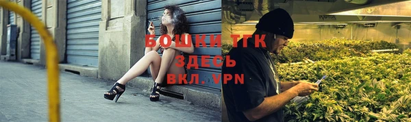 дмт Вяземский