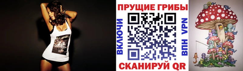 Купить  Малая Вишера  Псилоцибиновые грибы Cubensis 